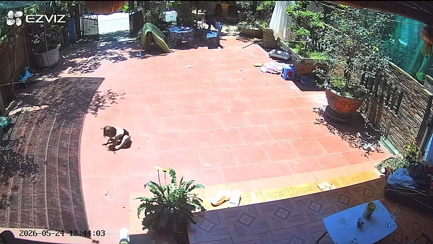videoframe-8022-1779937562.png