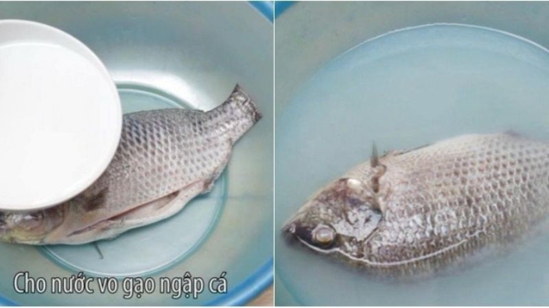 tac-dung-cua-nuoc-vo-gao-doi-voi-thuc-pham-202109201136268724-1780810788.jpg