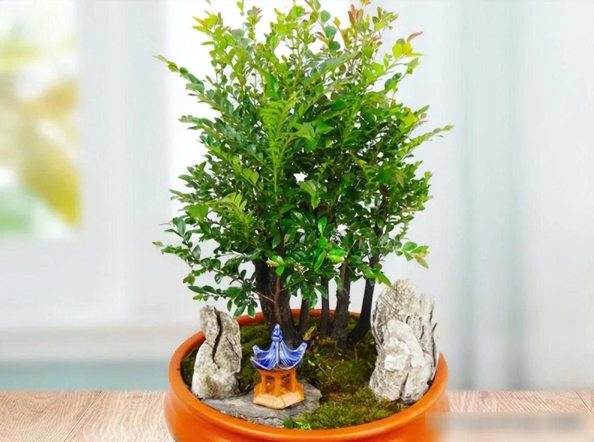 1782223879274-1870493767235431998-8813458017045788548-b205d9501faaa66b65b36a48eac9c456-1782223896.jpg