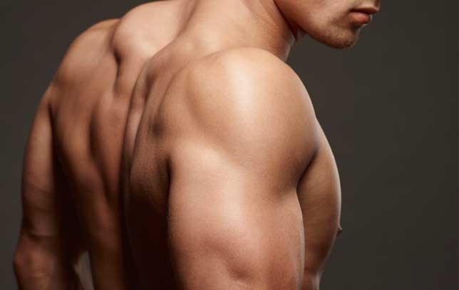 shouldersjpg-1783581741.jpg