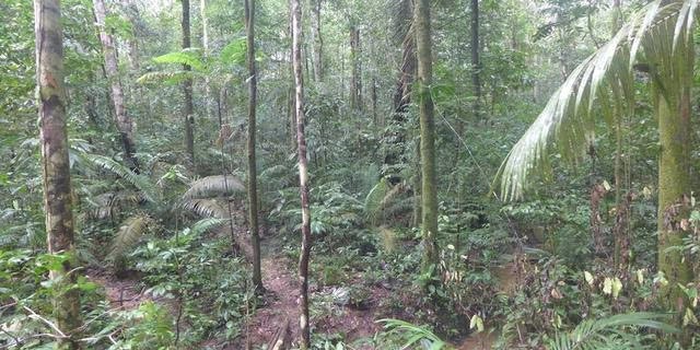 mo-vang-1-1784255457.jpg