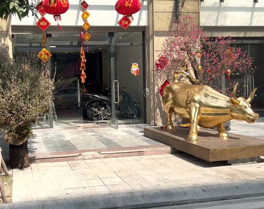 Con trâu vàng trước biệt thự của Huấn Hoa Hồng