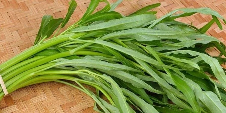 rau-muong-2-1786951049.webp