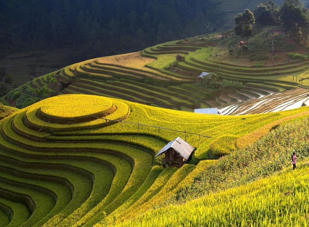 ha-giang-1-1787147526.jpg