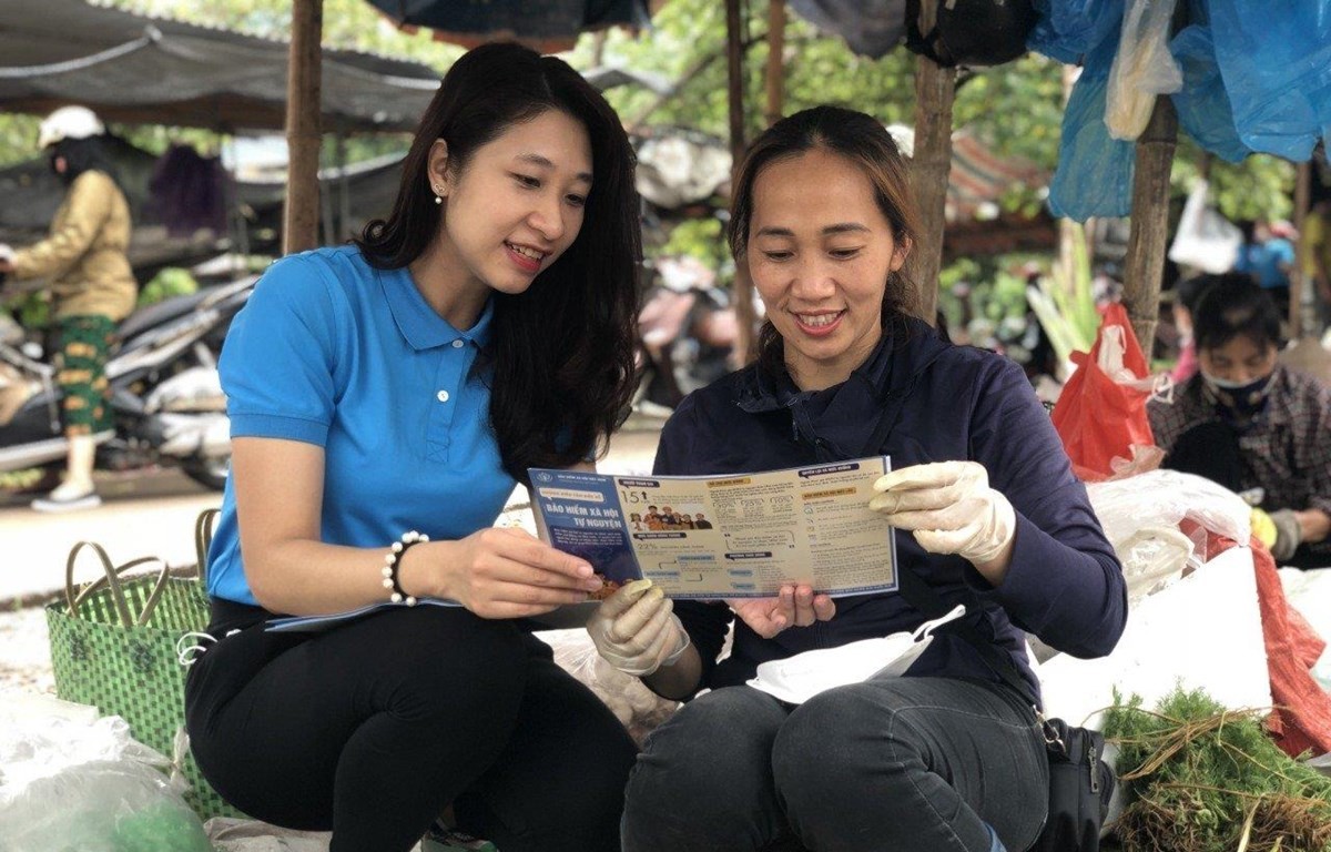 bhxhtunguyen-16638424087051579057541-1-1787396391.jpg