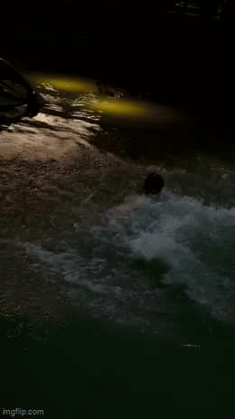 xe-2-1787560598.gif