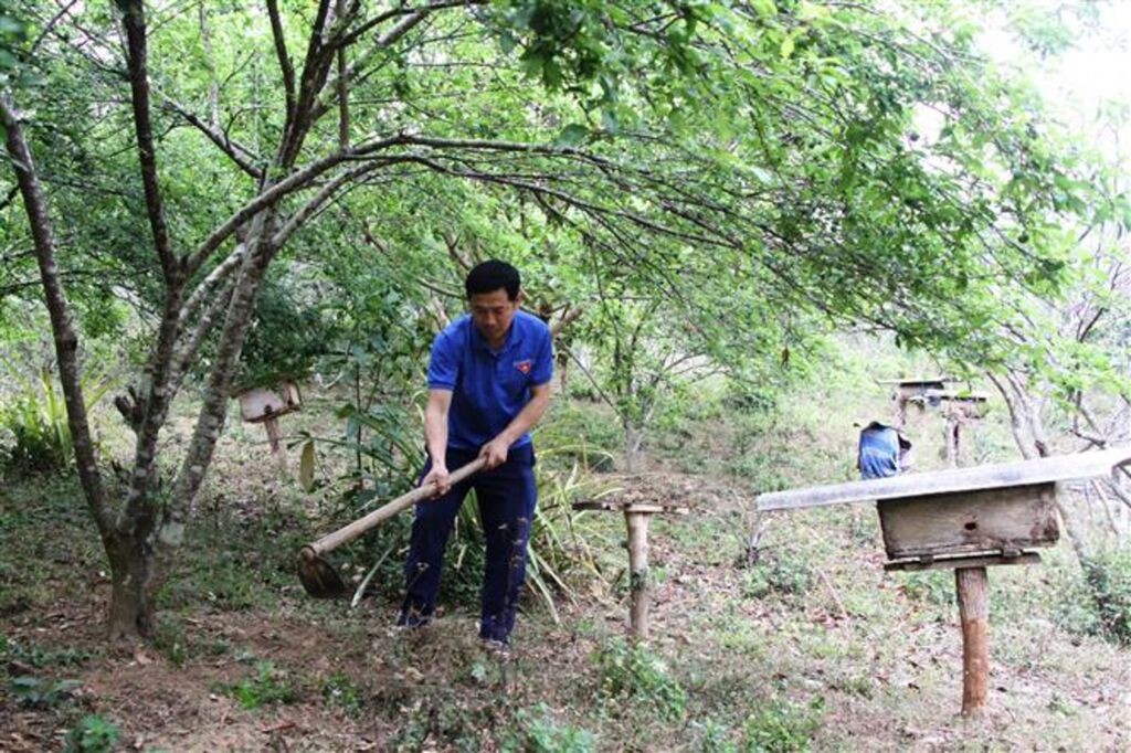 104753-vna-potal-thang-thanh-nien-2024-bi-thu-chi-doan-guong-mau-lam-kinh-te-gioi-7289526-1788705016.jpg