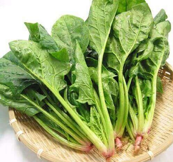 cai-bo-xoi-1789973047.png