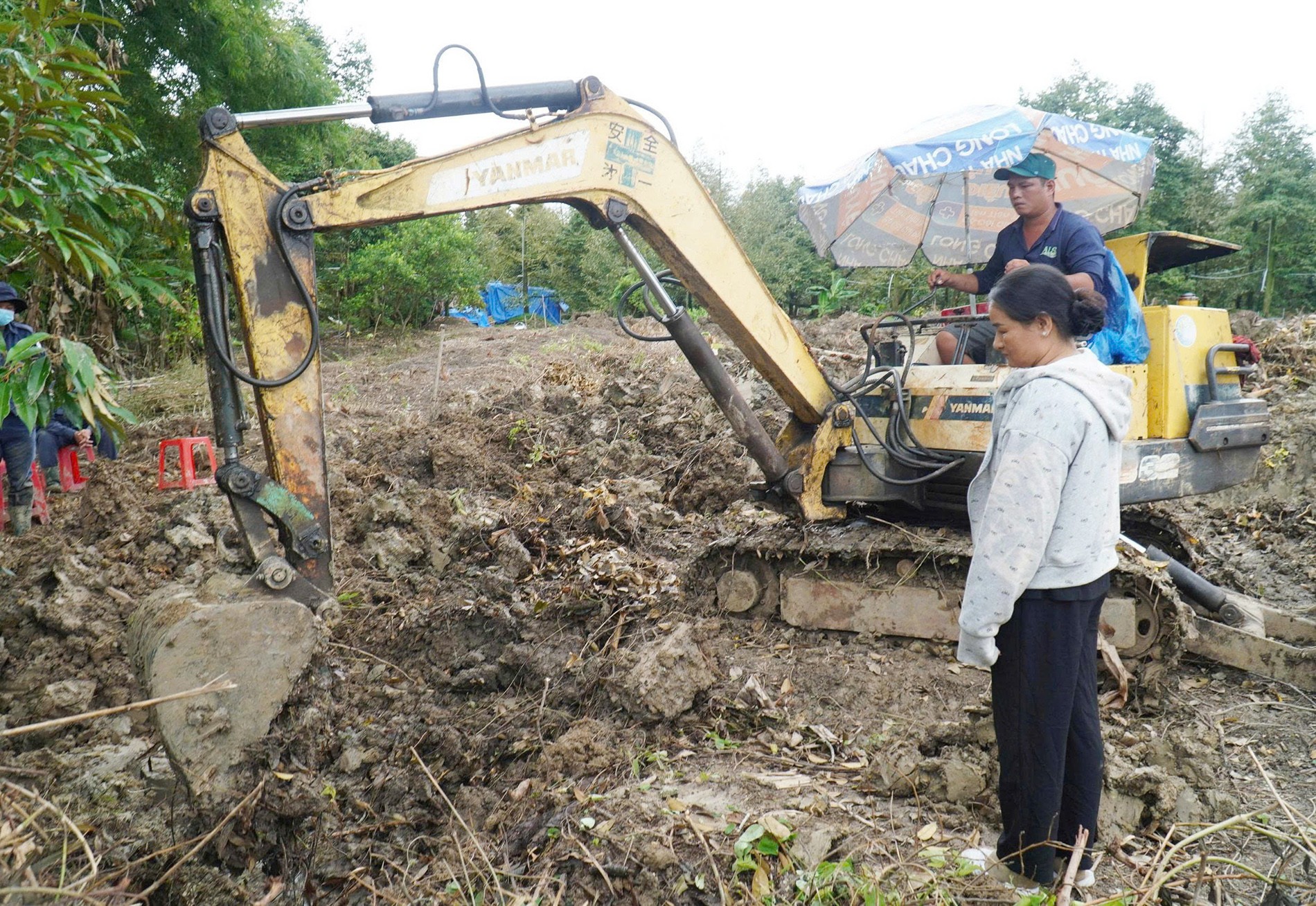 dong-thap-2400-1790125398.jpg
