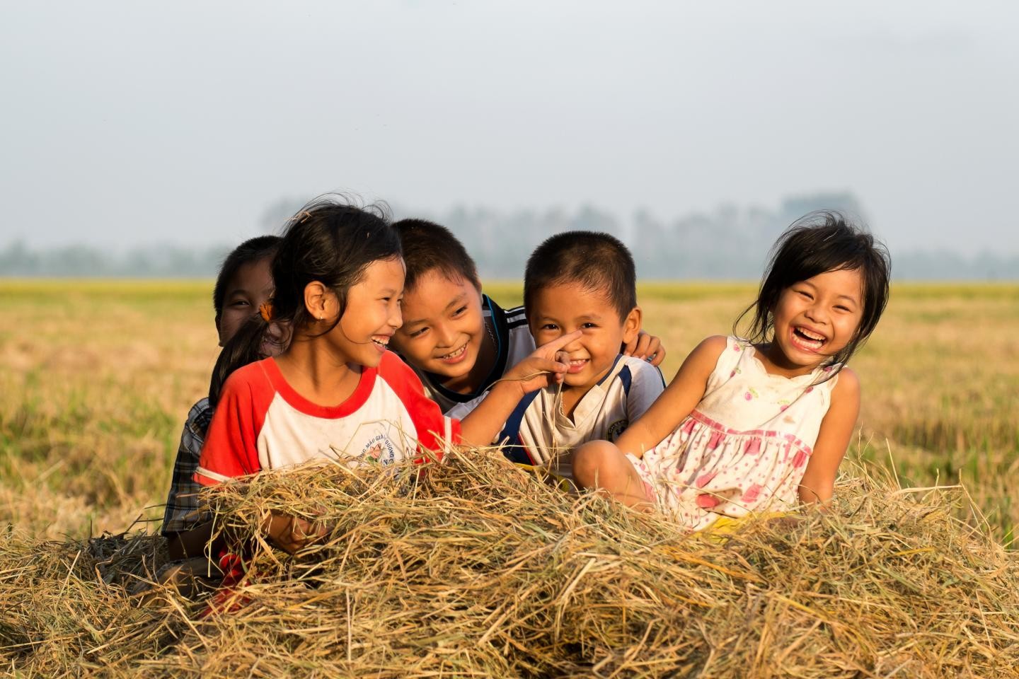 treem-16801707546971465749427-2-1790260166.jpg
