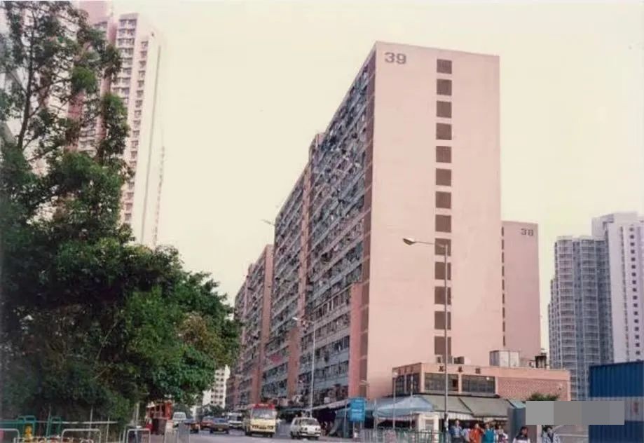 2-1790392803.jpg