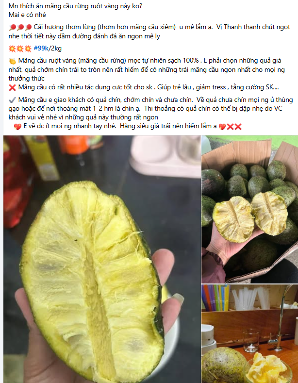 mang-cau-rung-1790753449.png