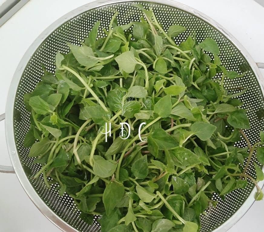 rau-lo-binh-4-1790913536.png