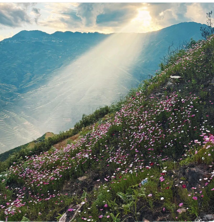 screenshot-1790910447-1790910475.png