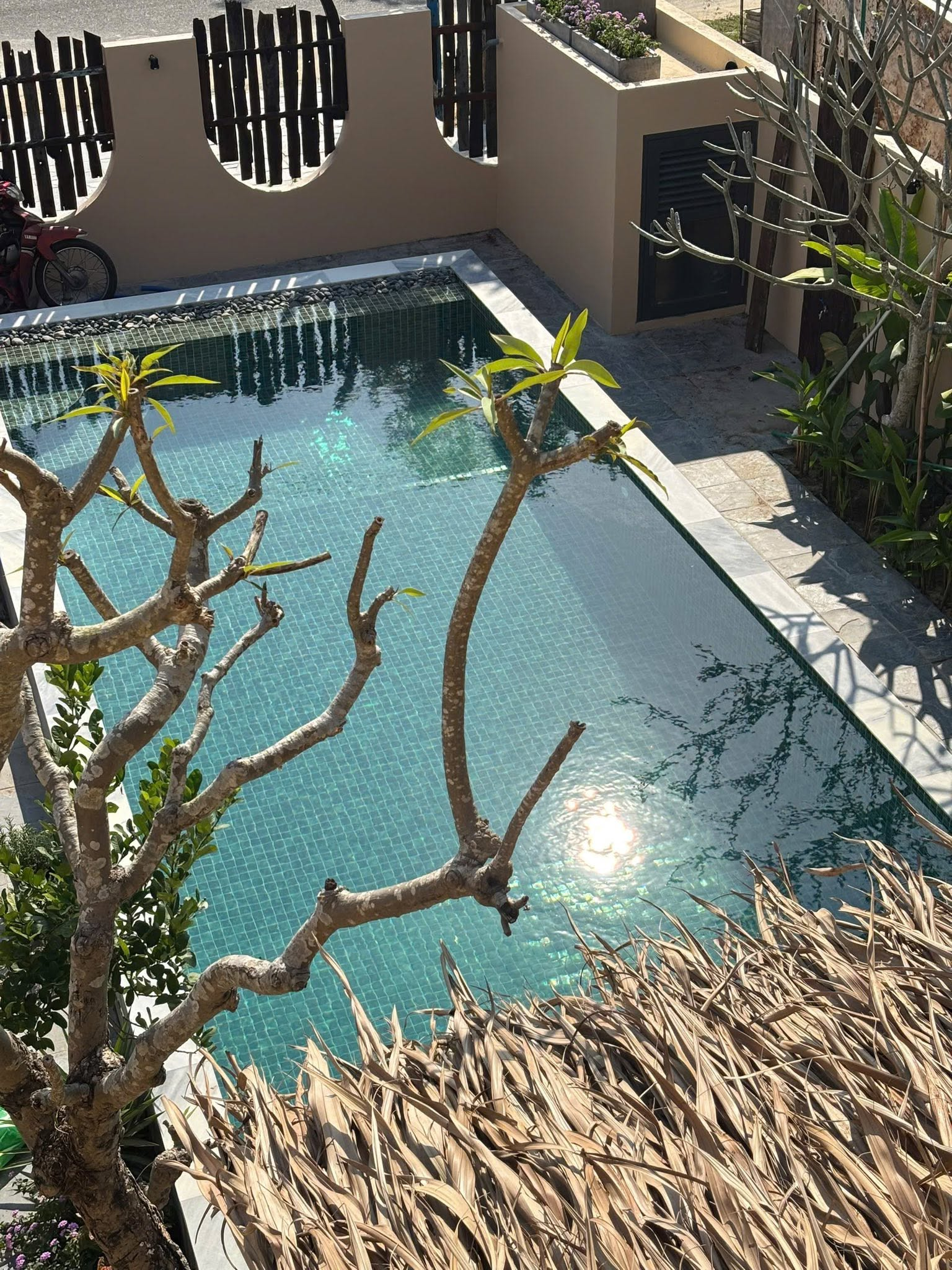 btv-quoc-khanh-7-1791357909.png