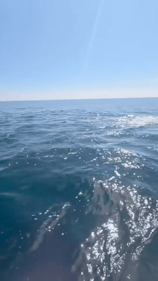 download-1-002307-1791332229350-1791332229893709077150-1791337617.gif