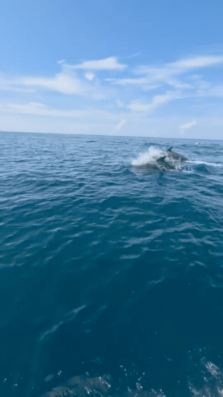 download-2-002332-1791332232349-1791332232855527989685-1791337616.gif