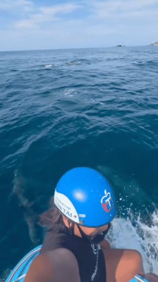 download-3-003017-1791332235349-17913322360492061934486-1791337616.gif