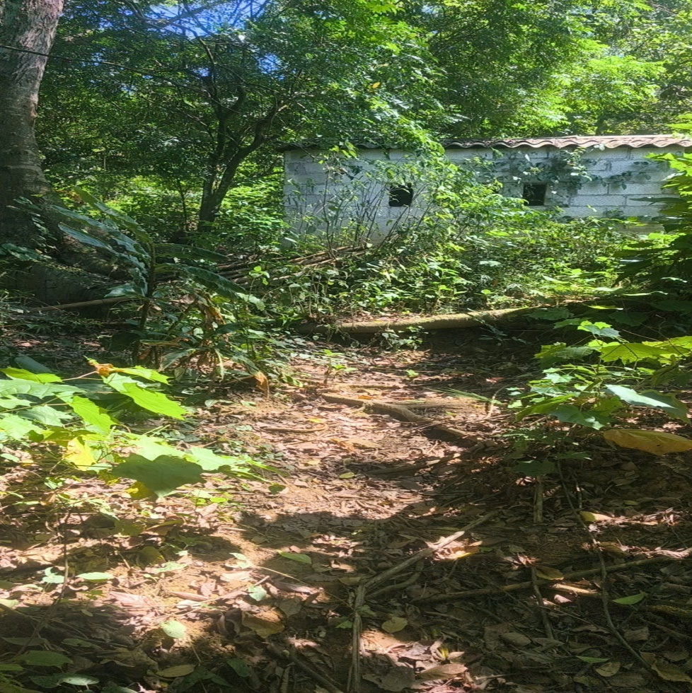 r-1791374471.png