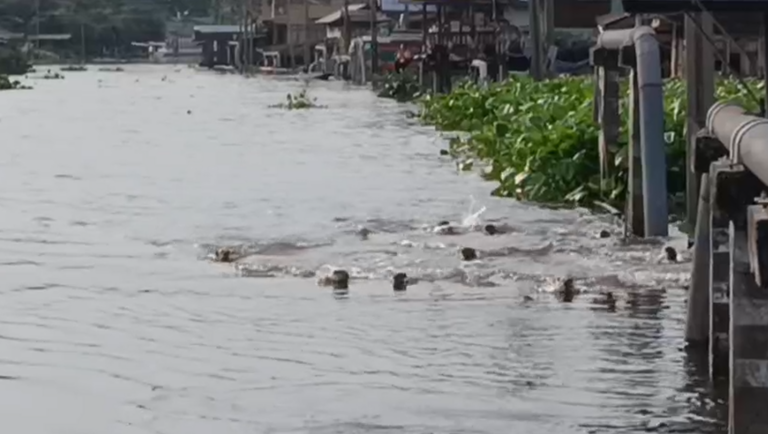 screenshot-2026-10-05-183505-768x434-1791292473052-1791292474415628437526-1791346641.png