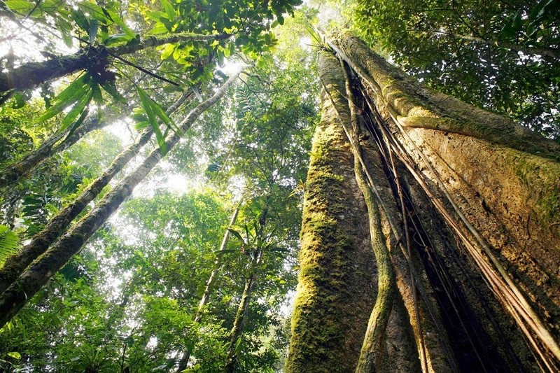 amazon-3-58e3a81dcf-1791426073.jpg