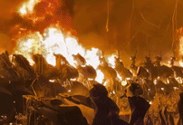 ezgifcom-crop-1-1791520260.gif