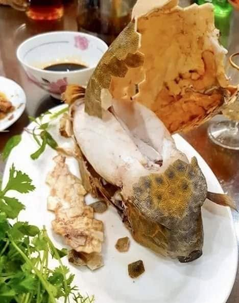 ca-thiet-giap-2-1792115964.png