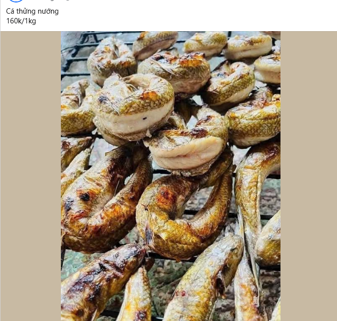 ca-thung-4-1792120423.png