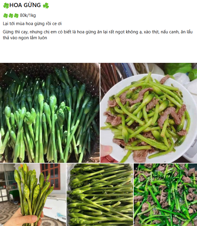 hoa-gung-3-1792114052.png
