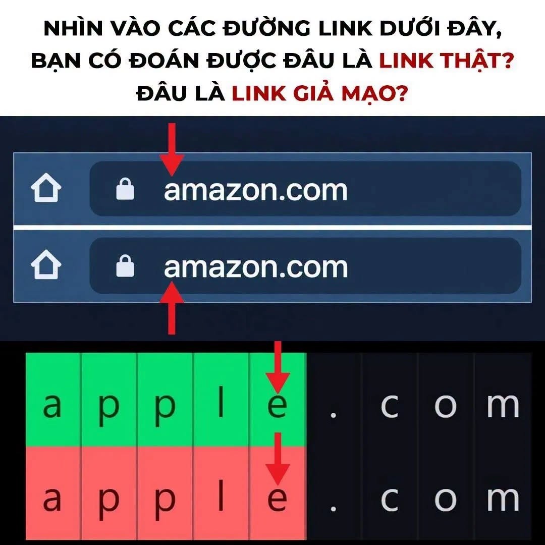 855519759-3986482544826833-5680643991374788237-n-1792383507.jpg