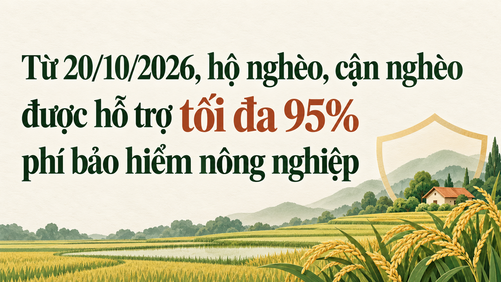 rice-fields-under-insurance-protection-1792661415.png