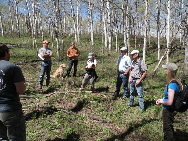 fieldtrip-to-pando-17929884221811593165520-1792998943288-17929989443611928530651-1793015619.jpg