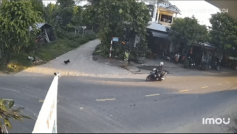 ezgif-optimized-2-1793244394.gif