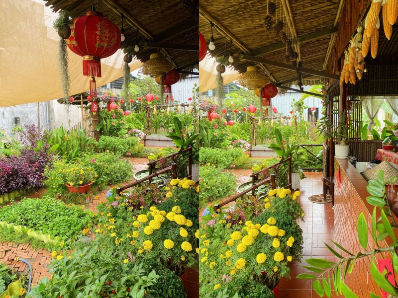 amp;#34;Bỏ phố về quêamp;#34;, chàng trai 9X Vĩnh Long chi 100 triệu làm nhà vườn 600m2 đẹp mê trồng đủ thứ rau củ, có cả ao cá - 3