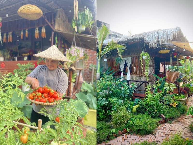 amp;#34;Bỏ phố về quêamp;#34;, chàng trai 9X Vĩnh Long chi 100 triệu làm nhà vườn 600m2 đẹp mê trồng đủ thứ rau củ, có cả ao cá - 4