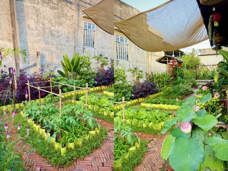 amp;#34;Bỏ phố về quêamp;#34;, chàng trai 9X Vĩnh Long chi 100 triệu làm nhà vườn 600m2 đẹp mê trồng đủ thứ rau củ, có cả ao cá - 6