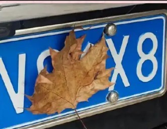 tai-xe-2-17399519230071606002696-1740033810.jpg