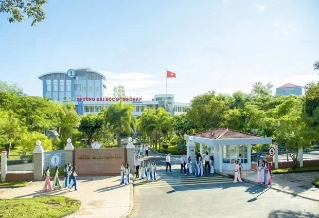 ngo-doc-o-dong-thapp-1744187349.webp