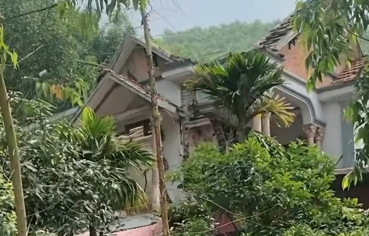 tn-10550529-1746423172.jpg