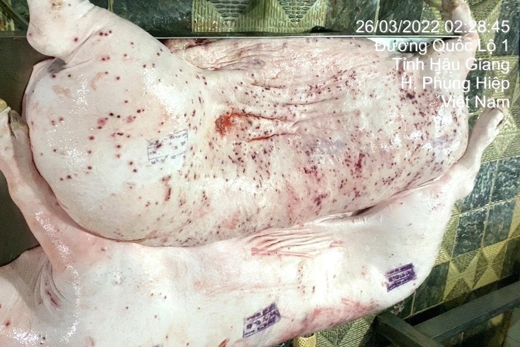 cong-ty-cp-viet-namctvjpg-1748693688550-1748855957.webp