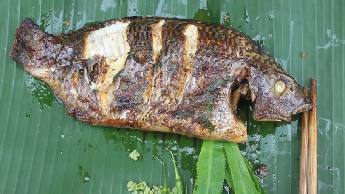 ca-ro-phi-1743497564.jpg