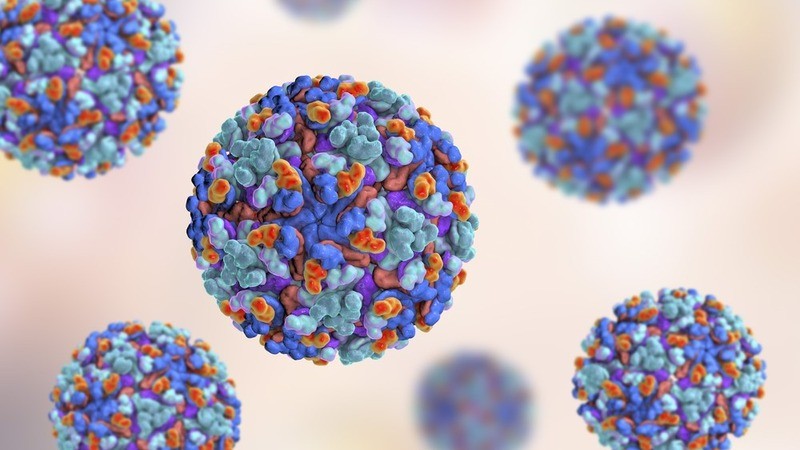 chikungunya-1-1754634842.jpg