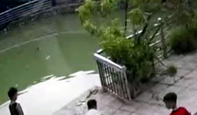 untitled-1753954076.png