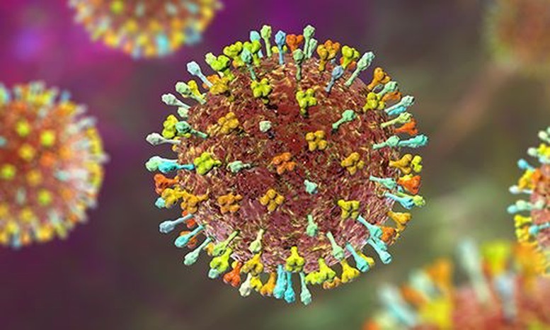 virus-nipah-1769485724573472765062-1769497606.jpg