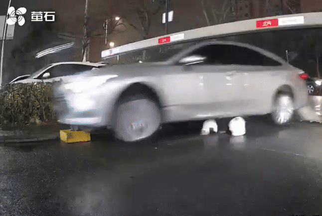 china-car-motorcyclist-gif-7-motorcyclist-in-china-has-head-dragged-under-car-wheels-after-collision-miraculously-escapes-death-1742273126.gif