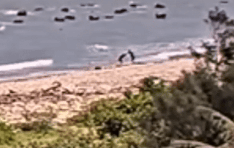 murder-sea-taiwan-1-woman-in-taiwan-brutally-murdered-after-allegedly-rejecting-love-interest-body-dragged-into-sea-1749698729.gif