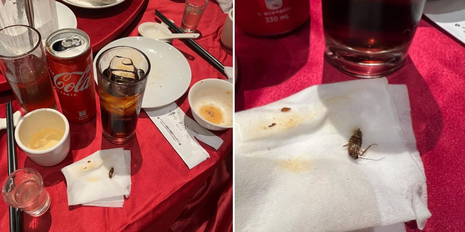taiwan-man-cola-cockroach-1755933985.jpg