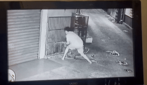 man-stabs-dog-metal-pipe-1-man-in-taiwan-fatally-stabs-neighbour-s-dog-with-metal-pipe-was-allegedly-annoyed-by-its-constant-barking-1759310609.gif