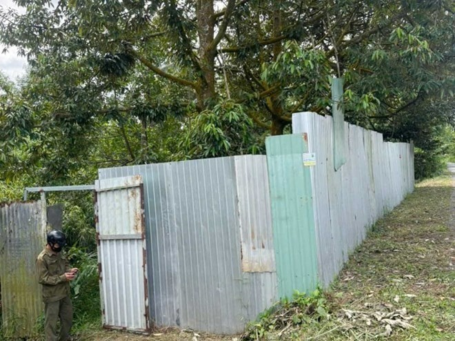 dong-thap-3-1758096232.jpg