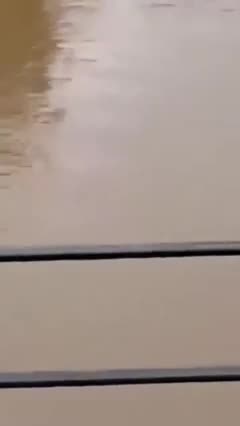 06d5e132b215a625daef3058b3d63582-1790654688.mp4